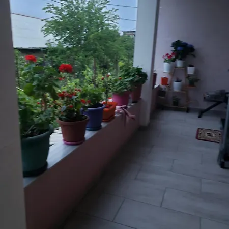 Apartamento Dream
